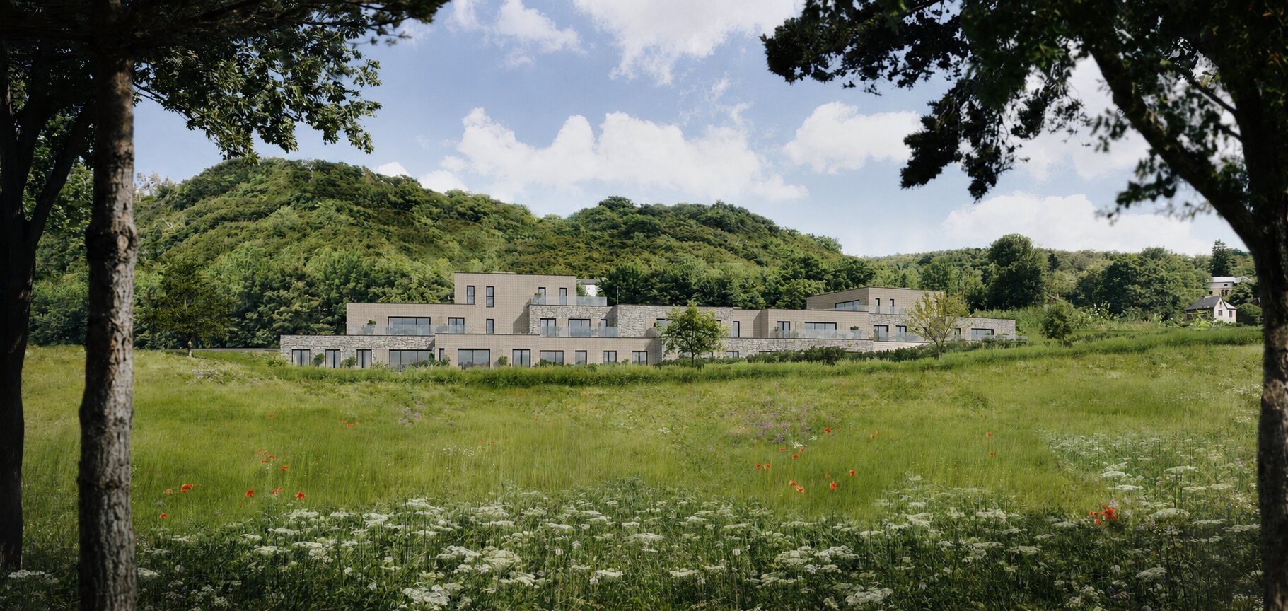 Projet Rivaia à Yvoir : appartements neufs en bord de Meuse vus depuis la prairie